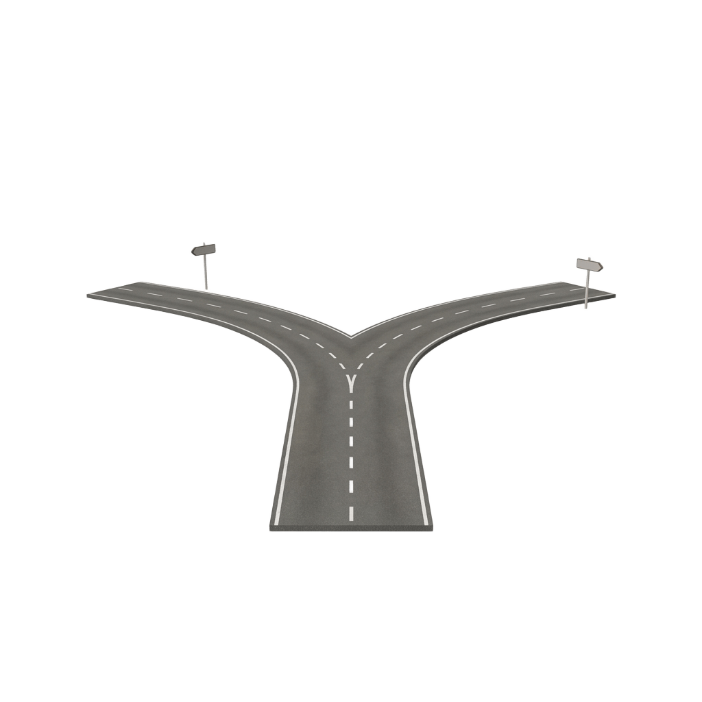 A road that forks into two paths — one question, two aspects